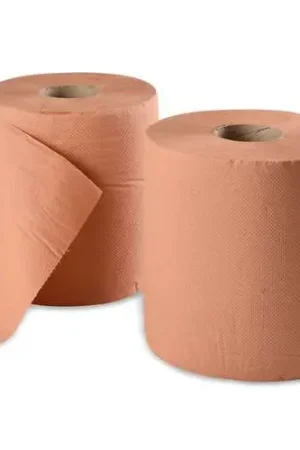 Meilleure Vente Lot de 2 rouleaux de papier chamois