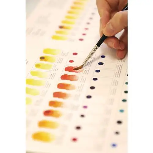 Pas Cher Carte de nuances véritable Winsor & Newton