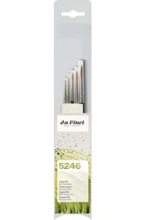 Set de 5 pinceaux aquarelle en poils de martre rouge DaVinci Affaire À Saisir