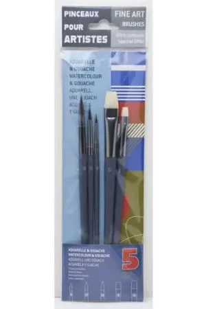 Lot de 5 pinceaux aquarelle et gouache Acheter En Ligne