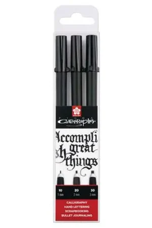 Lot de 3 Pigma Calligrapher Sakura Acheter En Ligne