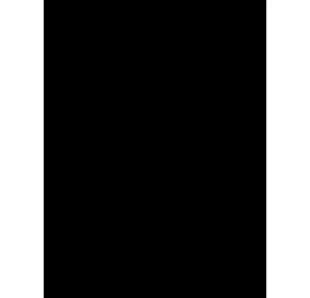Meilleure Vente Rouleau de flock 'Craft Robo Silhouette' Noir 25 cm x 2 m
