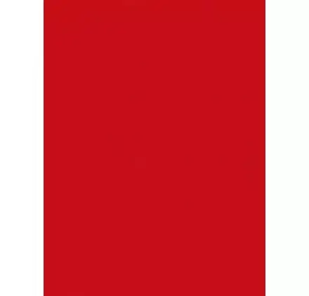 Prix Promo Rouleau de flock 'Craft Robo Silhouette' Rouge 25 cm x 2 m