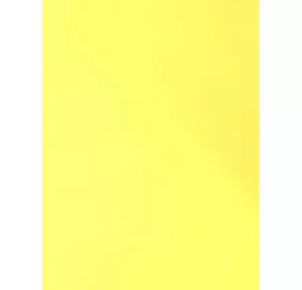 Promotion Saisonnière Rouleau de Flex textile Classic Mat 25 cm x 5 m 'Ankersmit' Ananas