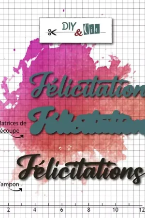 Combo Dies / Tampon transparent 'DIY & Cie - La vie est belle!' Duo Félicitations Top Vente