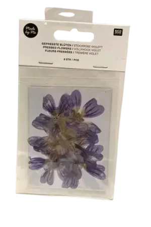 Fleurs Pressées RICO DESIGN – 4 modèles au choix Prix Cassé