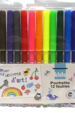 Pochette de 12 feutres – DIY et loisirs créatifs Remise