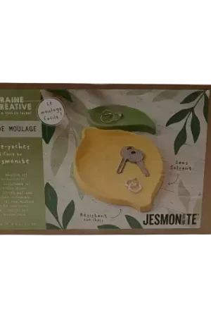 Retour Gratuit Kit de Moulage JESMONITE – Vide-poche Citron GRAINE CREATIVE
