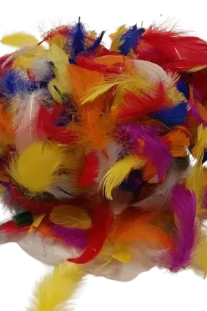 Petit Prix Plumes APLI – Lot de 400