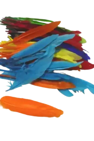 Lot de 100 plumes d’oies APLI – 10 à 12 cm coloris assortis Expédition Rapide