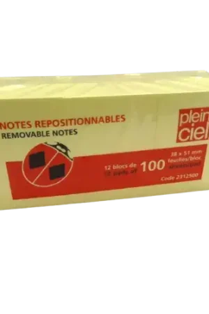 Achat Immédiat Notes Repositionnables - 2 modèles