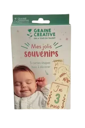 Haute Qualité Kit “Mes Jolis Souvenirs” GRAINE CREATIVE – Cartes à customiser