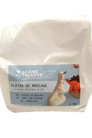 Plâtre de Moulage 1000 g – Graine Créative Petit Prix