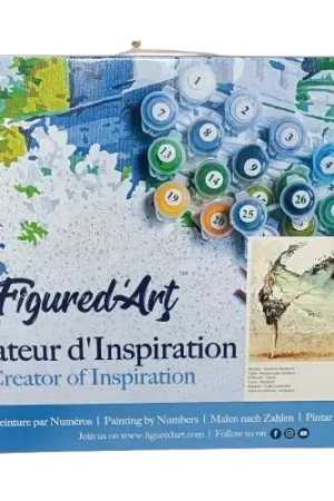 Peinture par numéros figure d’art sur châssis – 40 x 50 cm Soldes