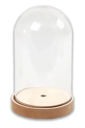 Promotion Saisonnière Cloche transparente avec socle en bois - 18 cm