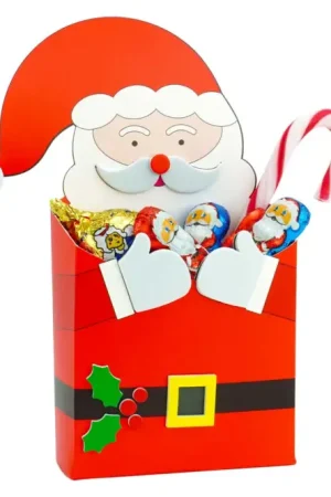 Bon Marché Kit boîtes Père-Noël à monter - 6 pièces