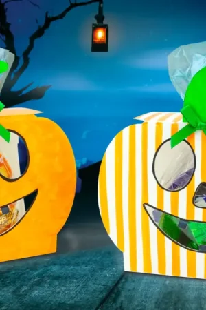 Acheter Direct Citrouilles à décorer et sachets