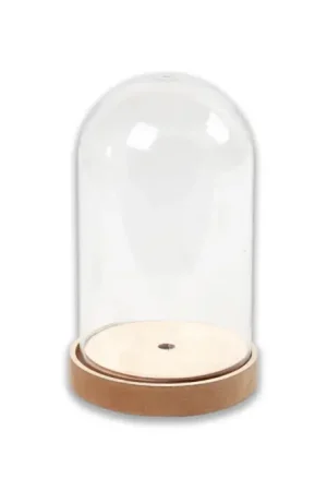 Cloche et socle en bois 12 cm Commander Maintenant