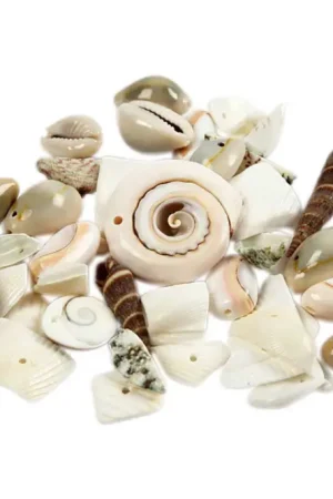 Commande En Gros Perles coquillages - Assortiment de 120 gr