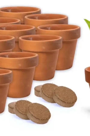 Acheter En Ligne Set "Horticulteur" - 6 pots + terreau